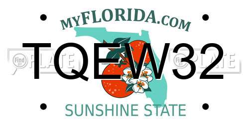 TQEW32 Florida License Plate