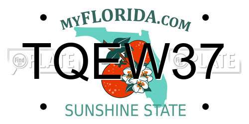 TQEW37 Florida License Plate