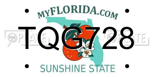 TQG728 Florida License Plate