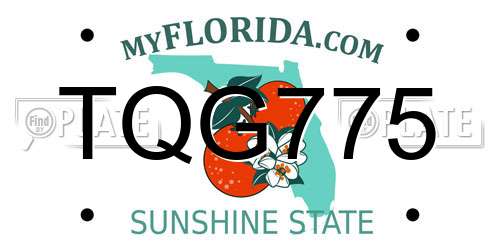 TQG775 Florida License Plate