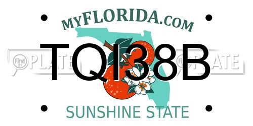 TQI38B Florida License Plate
