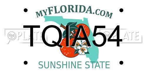 TQIA54 Florida License Plate
