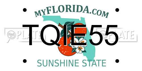 TQIE55 Florida License Plate