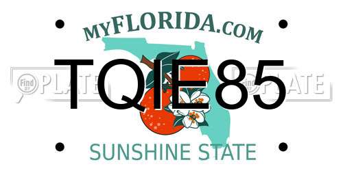 TQIE85 Florida License Plate