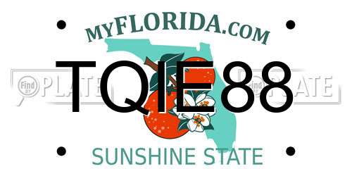 TQIE88 Florida License Plate