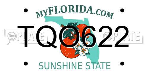TQO622 Florida License Plate