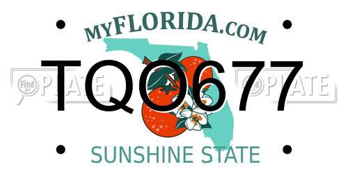 TQO677 Florida License Plate