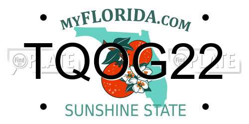 TQOG22 Florida License Plate