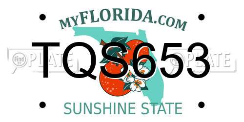 TQS653 Florida License Plate