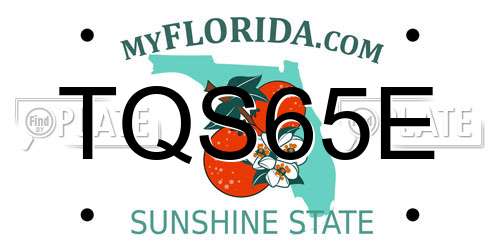 TQS65E Florida License Plate