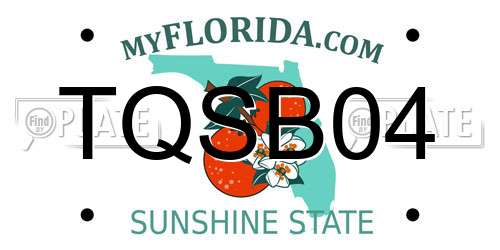 TQSB04 Florida License Plate