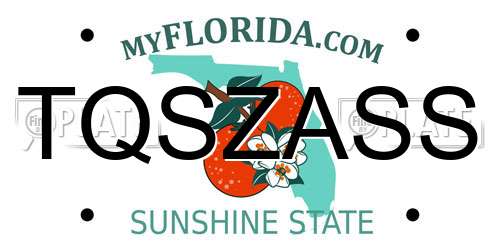 TQSZASS Florida License Plate
