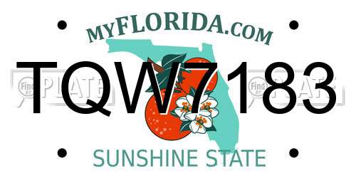 TQW7183 Florida License Plate