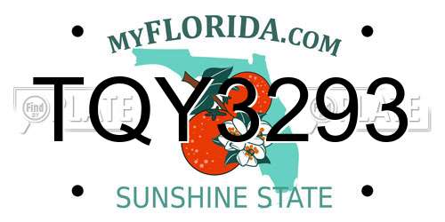 TQY3293 Florida License Plate