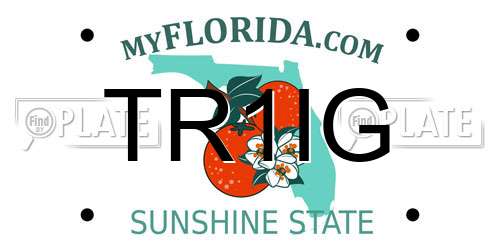 TR1IG Florida License Plate