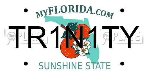 TR1N1TY Florida License Plate