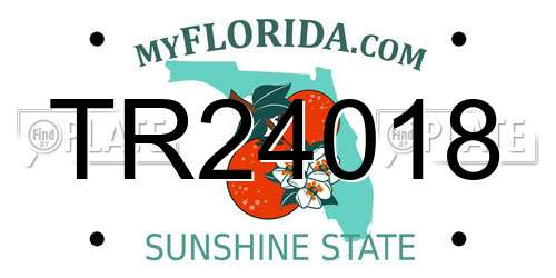 TR24018 Florida License Plate