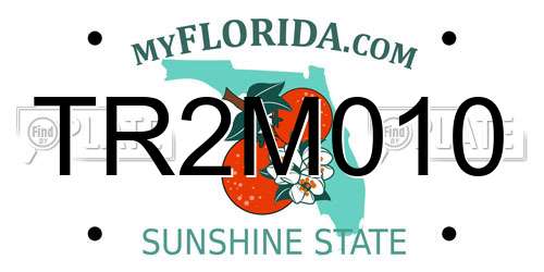 TR2M010 Florida License Plate