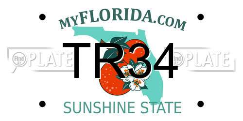TR34 Florida License Plate