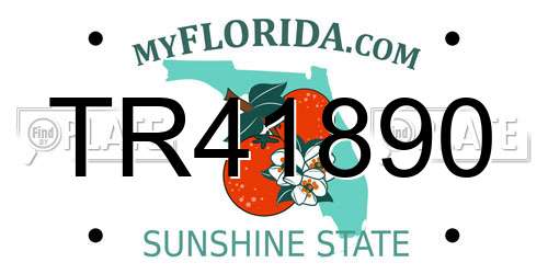 TR41890 Florida License Plate