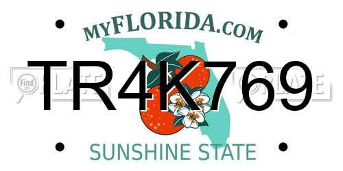 TR4K769 Florida License Plate