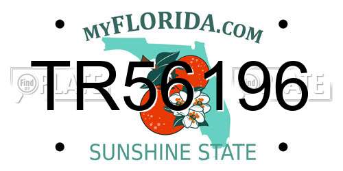 TR56196 Florida License Plate