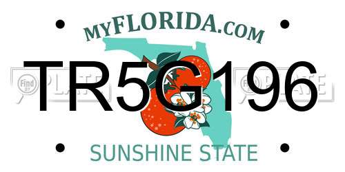 TR5G196 Florida License Plate