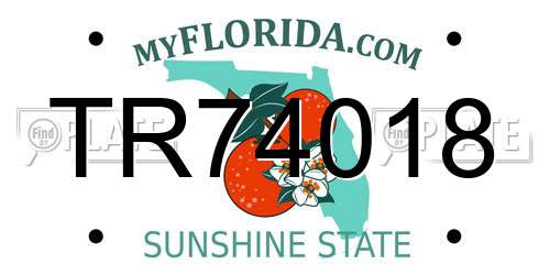TR74018 Florida License Plate