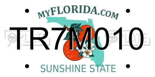 TR7M010 Florida License Plate