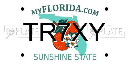 TR7XY Florida License Plate