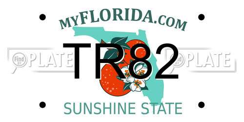 TR82 Florida License Plate