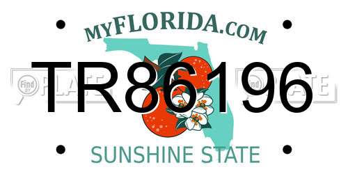 TR86196 Florida License Plate