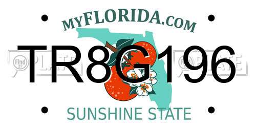 TR8G196 Florida License Plate