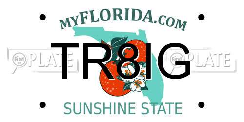 TR8IG Florida License Plate