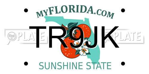 TR9JK Florida License Plate