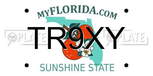 TR9XY Florida License Plate