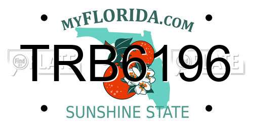TRB6196 Florida License Plate