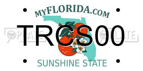 TRCS00 Florida License Plate