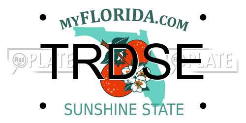 TRDSE Florida License Plate