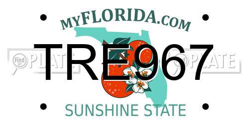 TRE967 Florida License Plate