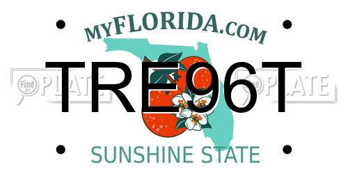 TRE96T Florida License Plate