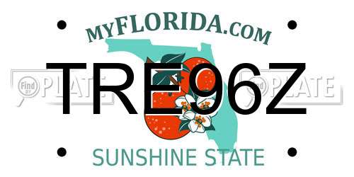 TRE96Z Florida License Plate