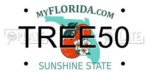 TREE50 Florida License Plate