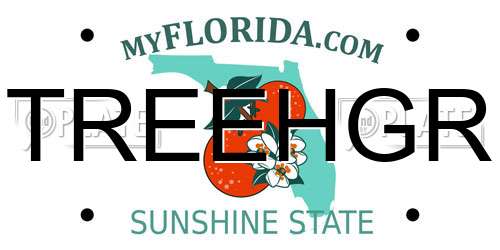 TREEHGR Florida License Plate