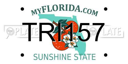 TRI157 Florida License Plate