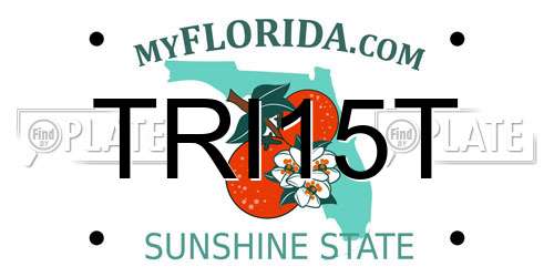TRI15T Florida License Plate