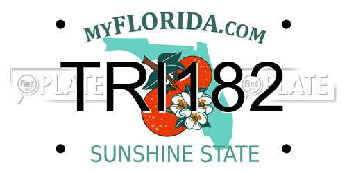 TRI182 Florida License Plate