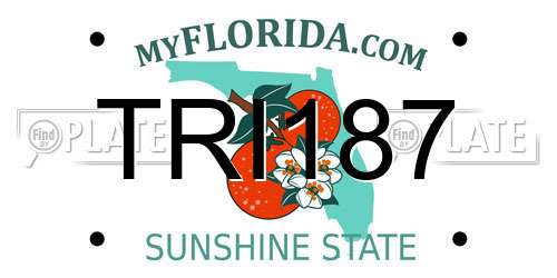 TRI187 Florida License Plate