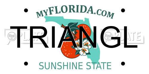 TRIANGL Florida License Plate