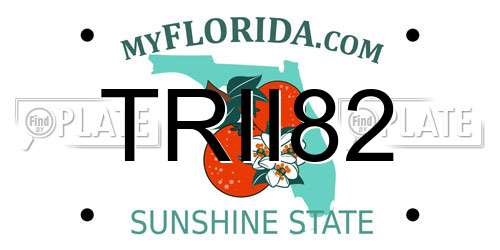 TRII82 Florida License Plate